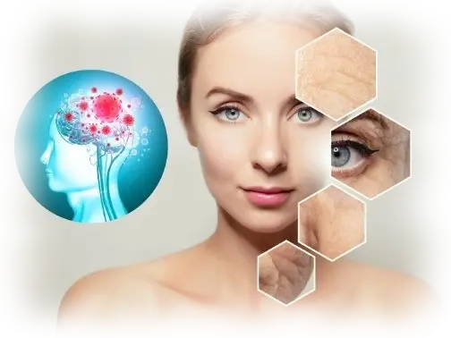 Genoxidil sistema antiedad Genoxidil sistema antiedad